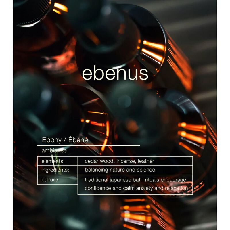 zenology ebenus ebony
