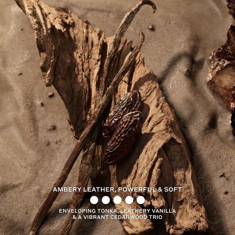 بربري بربري هيرو إلكسير دو بارفان