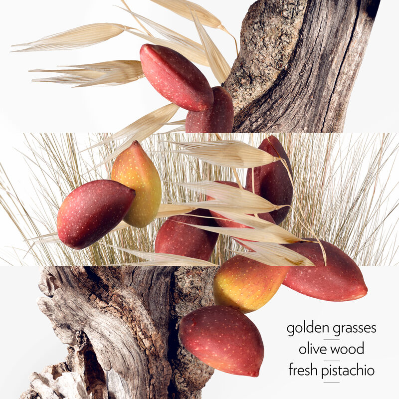 hermes un jardin a cythere