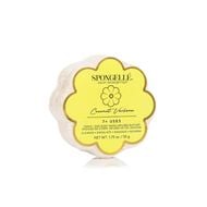 Daisy Collection Coconut Verbena Body Wash Infused Spongette (7+ Uses) faces daisy collection coconut verbena body wash infused spongette 7 uses
