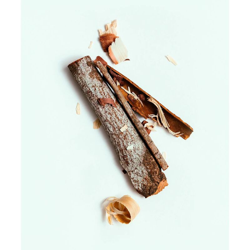 corpus naturals santalum plant based natural body wash