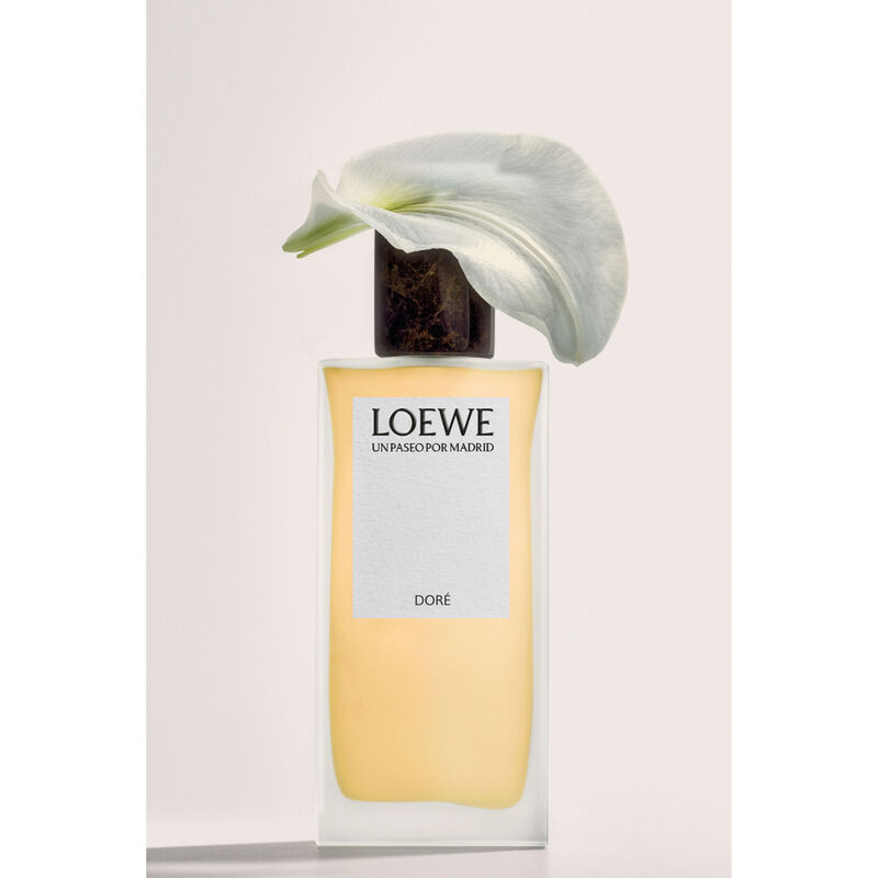 loewe un paseo por madrid dore