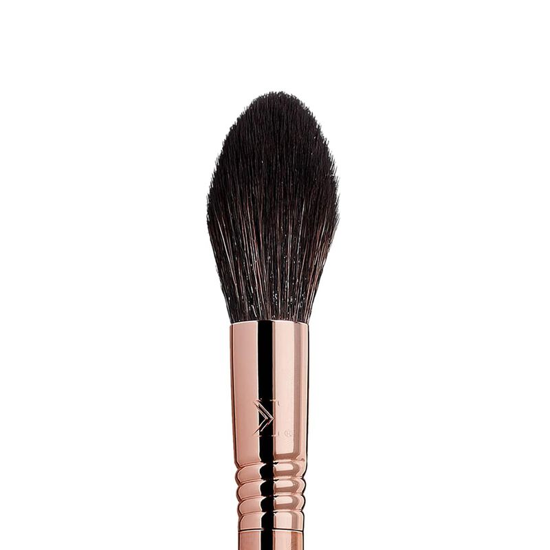 sigma iconic brush set