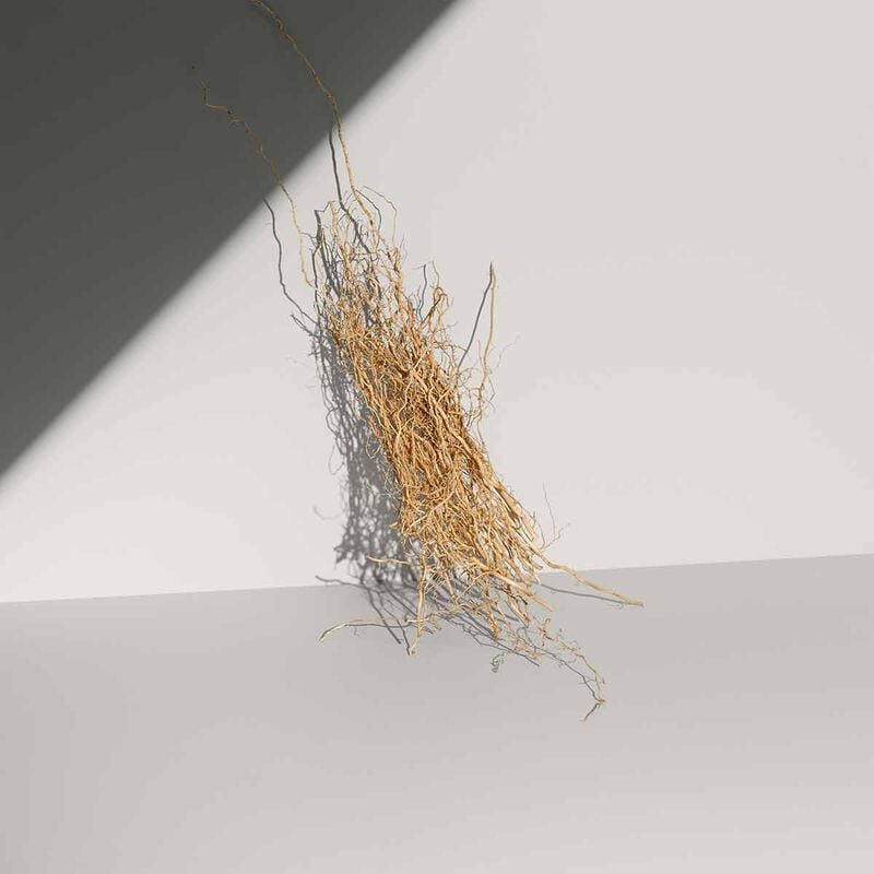 calvin klein defy eau de toilette for men