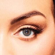 faces crocodile green plano