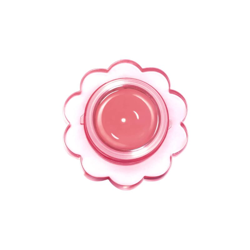 dasique chewing glow pot