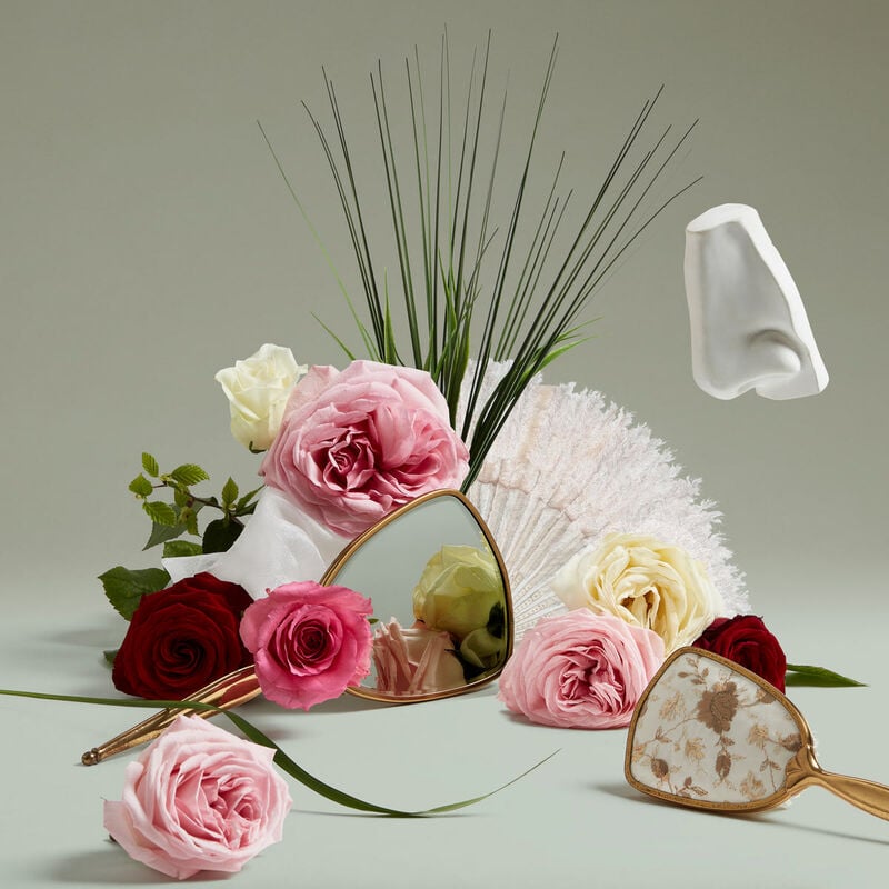 penhaligons elisabethan rose