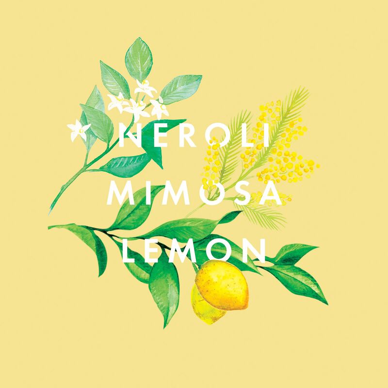 neom organics happiness essential oil blend