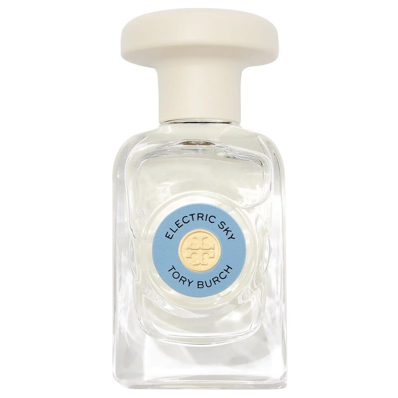 توري بورش الكتريك سكاي