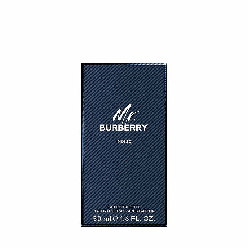 burberry mr. burberry indigo eau de toilette