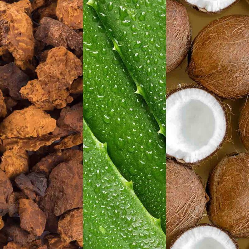 ماريو باديسكو facial spray with aloe, adaptogens and coconut