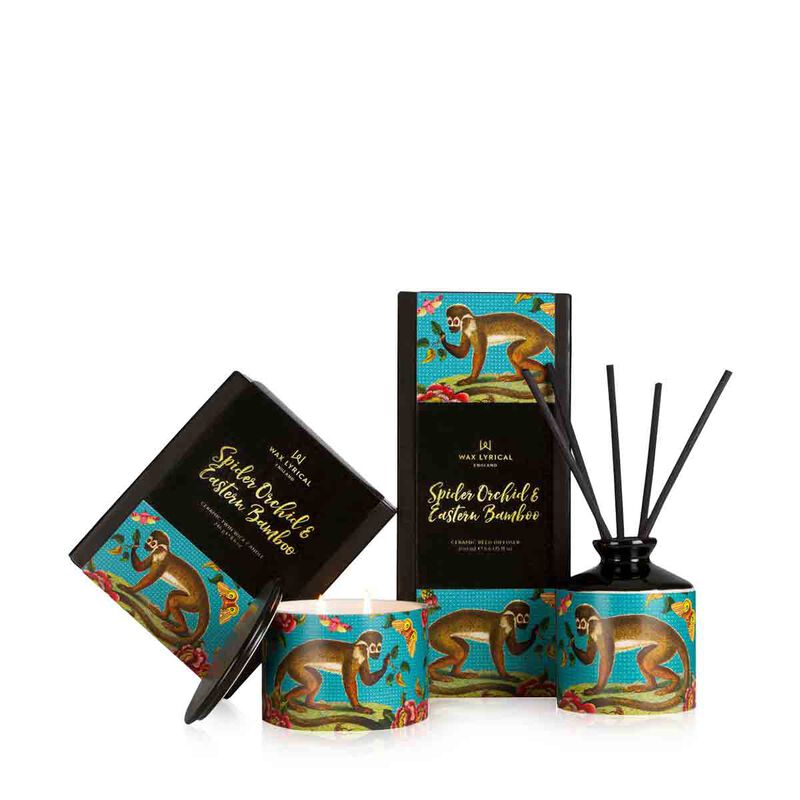 wax lyrical street mythology spider orchid and bamboo reed diffuser 200ml