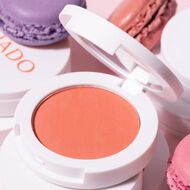 Blush Powder Matte Finish faces blush powder matte finish