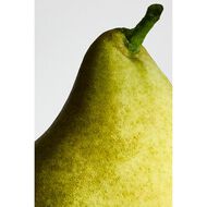 faces aire sutileza elixir