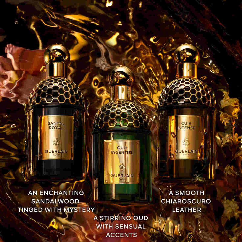 guerlain absolus allegoria oud essentiel