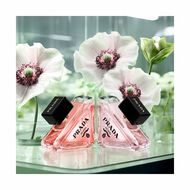 faces paradoxe virtual flower