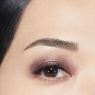 OMBRE PREMIÈRE LAQUE faces ombre premi re laque