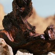 K Elixir faces k elixir