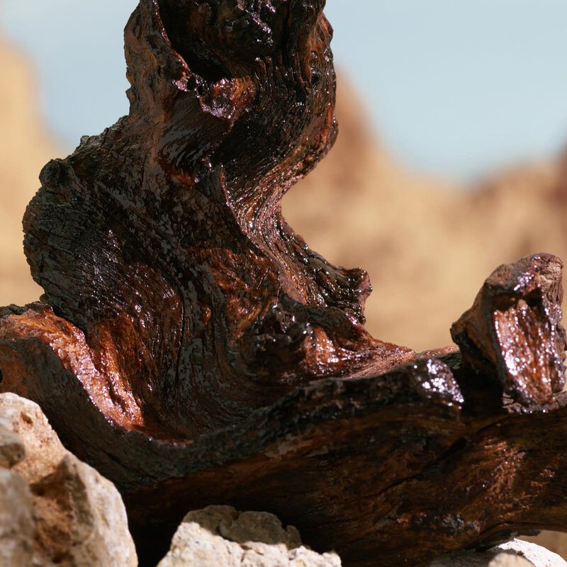 dolce & gabbana k elixir