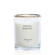 هافانا مصغرة faces هافانا مصغرة