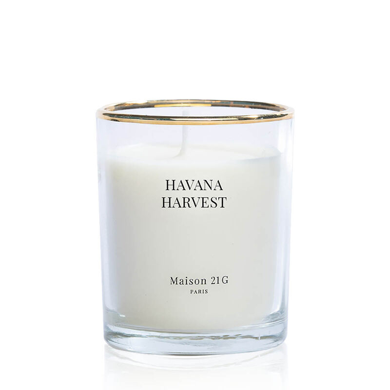 ميزون 21 جي هافانا مصغرة