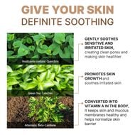 Phyto ground Purifying Cream faces phyto ground purifying cream