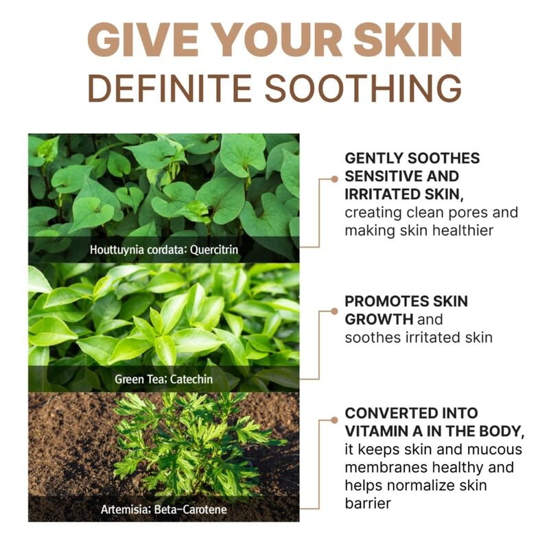 rootree phyto ground purifying cream