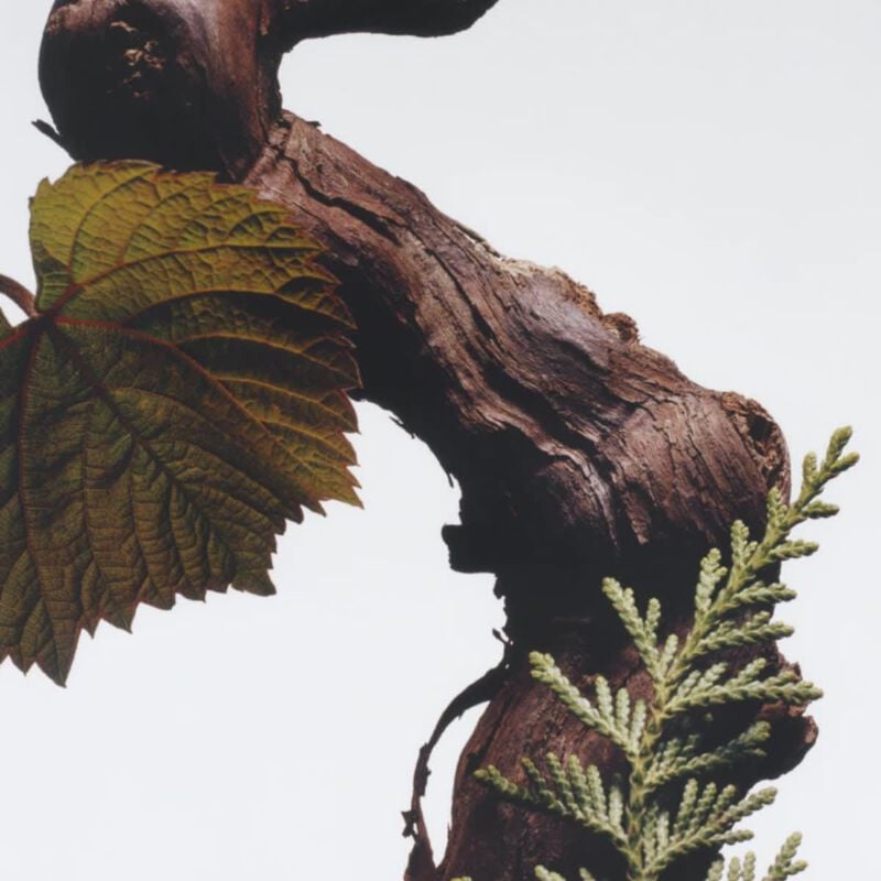 جو مالون لندن بخاخ الجسم سايبريس آند غرايب فاين