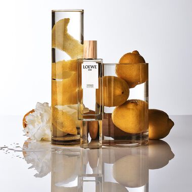 faces loewe 001 woman eau de toilette