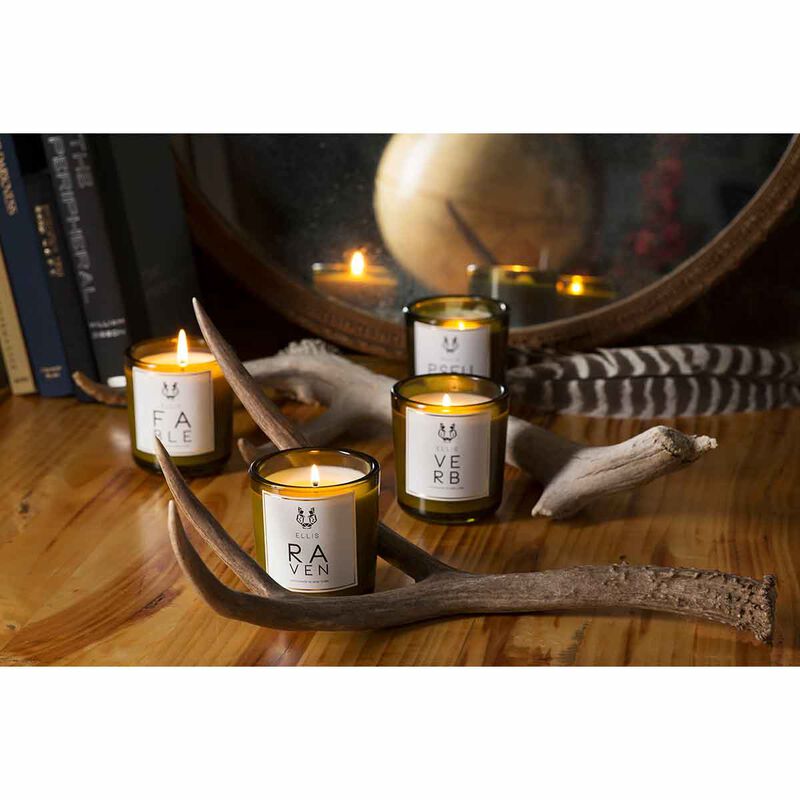 ellis brooklyn raven terrific scented candle 185g