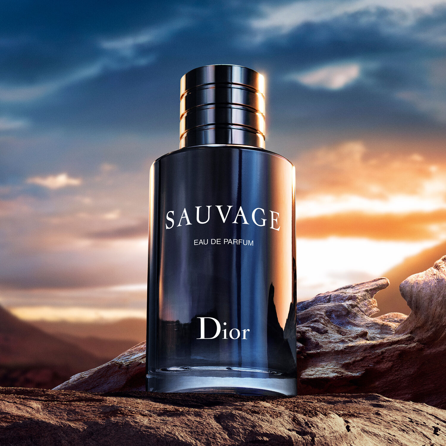 Dior Sauvage Eau de Parfum