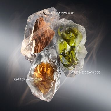 faces لو سيل ديسي