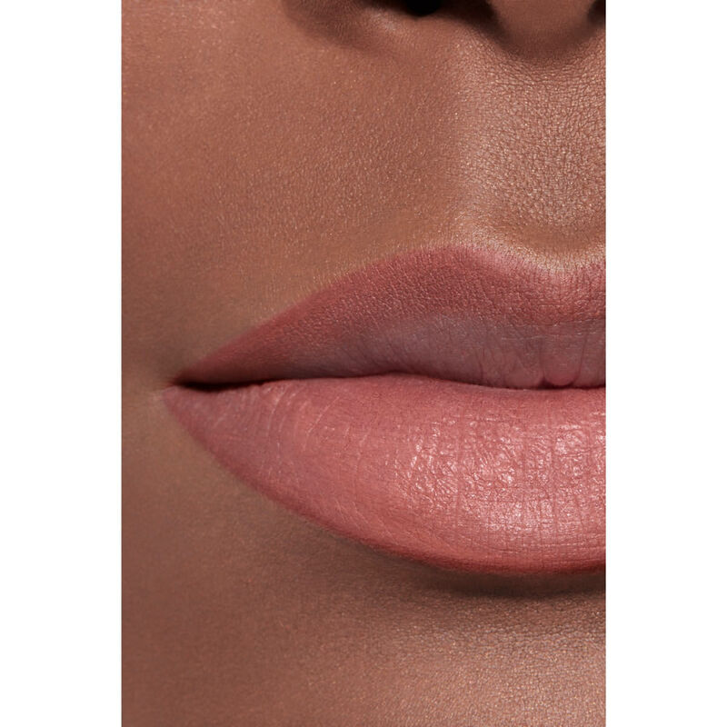chanel le crayon levres