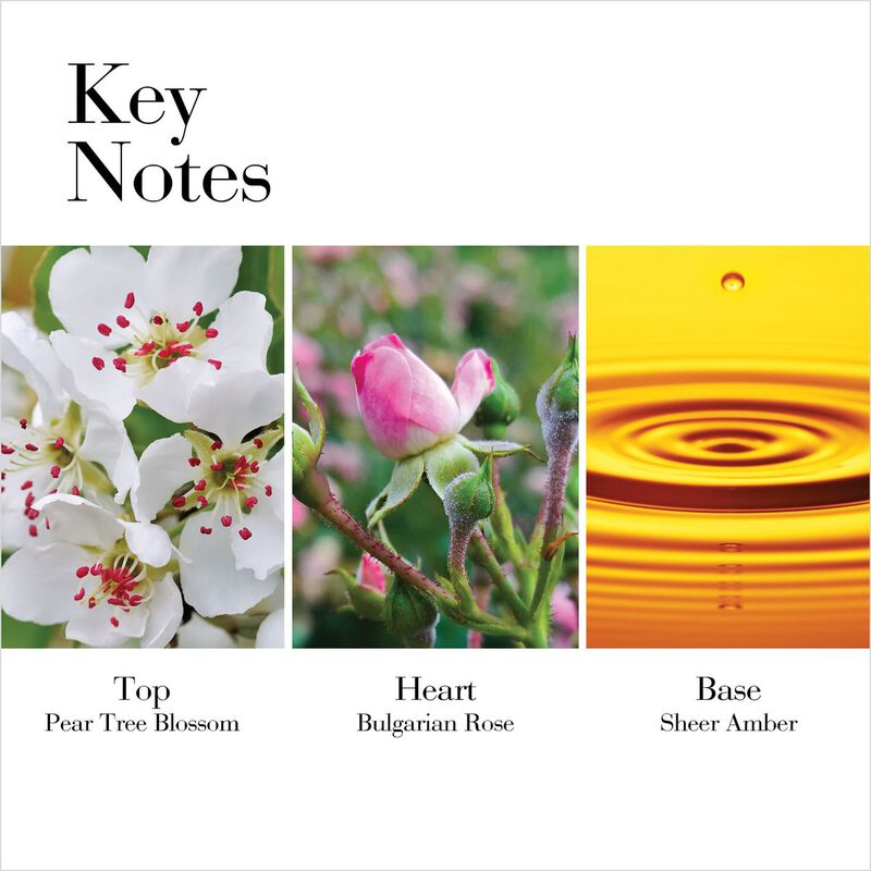 elizabeth arden white tea wild rose