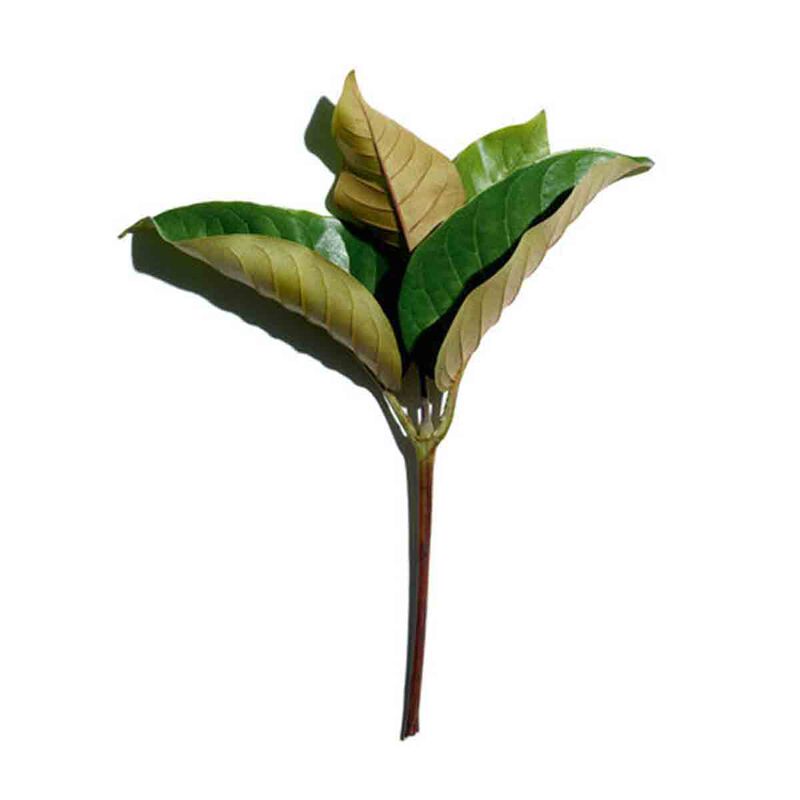 كلارنس كريم النهار سوبر ريستوريتف لجميع أنواع البشرة بعامل حماية 20 50مل