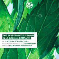 faces مزيل مكياج ماء ميسيلار منقي   بيور مونت 400 مل