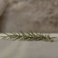 عطر غيلتي كولون بور أوم 150 مل faces عطر غيلتي كولون بور أوم 150 مل