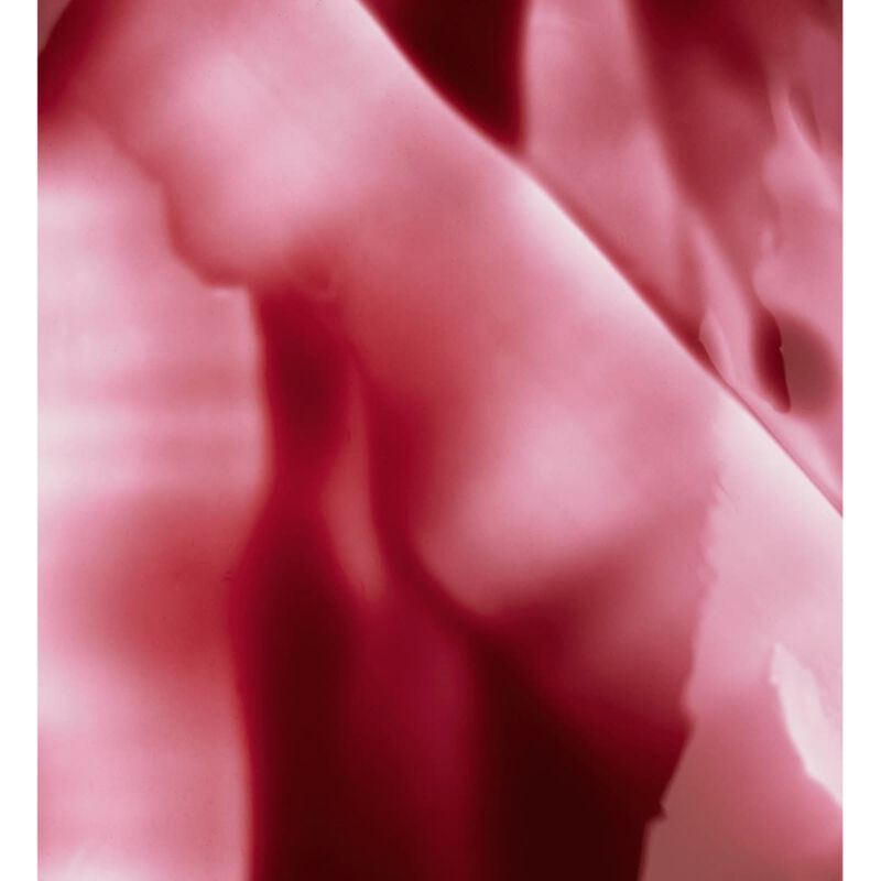 faces pop  lip and cheek oil