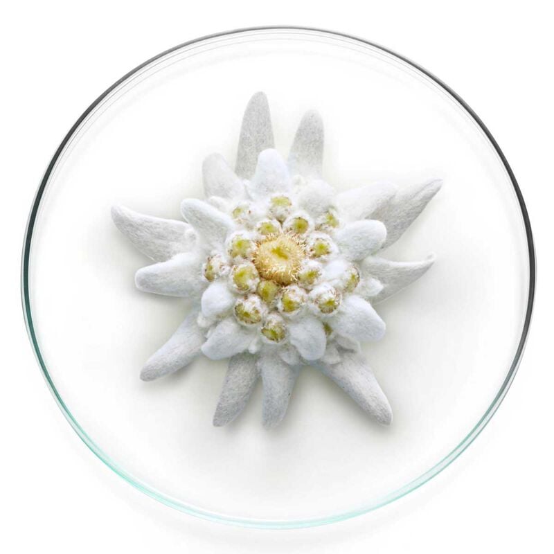 lancome expert aqua gel spf 50