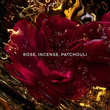 faces absolus allegoria rose amira