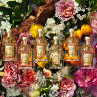 faces aqua allegoria forte mandarine basilic