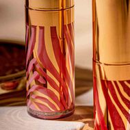 faces le phyto gloss