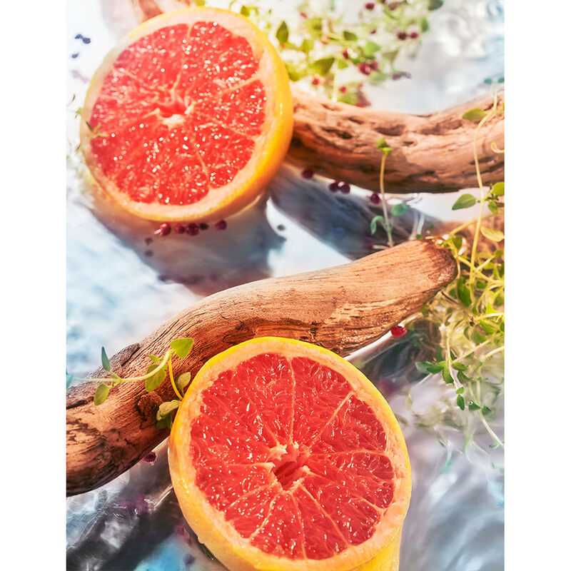 روجا إليسيوم