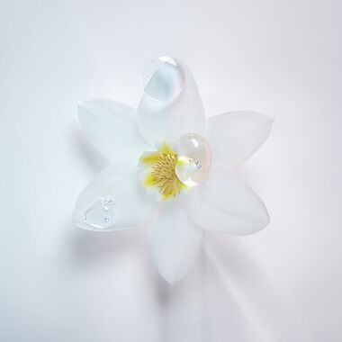 faces blond absolu cicaplasme hair cream 150ml