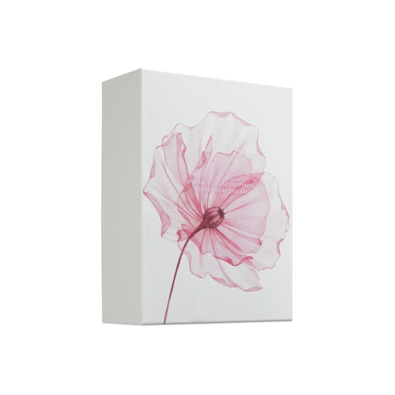 ريتوالز مجموعة ذا ريتوال أوف ساكورا كبير