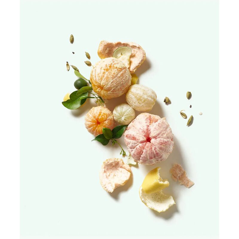 corpus naturals n green plant based natural cleansing bar