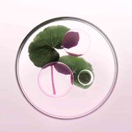 faces ماسك كروما آبسلو للشعر البني الغامق ومقاوم لإنعكاسات اللون الأحمر 150مل