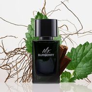 faces mr  burberry  eau de parfum