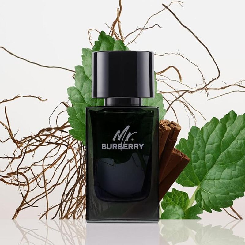 burberry mr. burberry  eau de parfum
