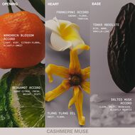 Mood Stones Collection - Cashmere Muse faces mood stones collection cashmere muse